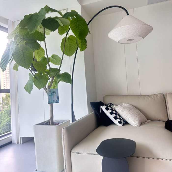 Торшер Soft Arc