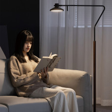 Торшер Lite Arm