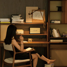 Настольная лампа Ziilamp Clip Gold