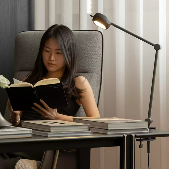 Настольная лампа Ziilamp Clip Silver