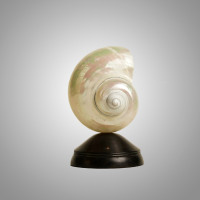 Декоративная настольная лампа Glowshell Mini