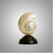 Декоративная настольная лампа Glowshell Mini