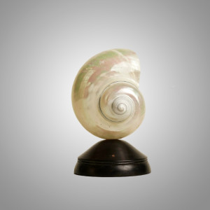 Декоративная настольная лампа Glowshell Mini