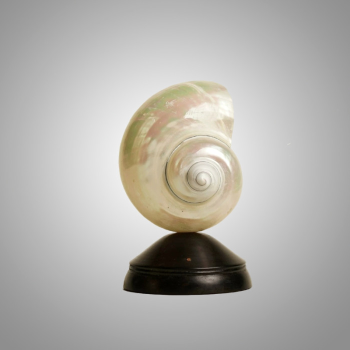 Декоративная настольная лампа Glowshell Mini