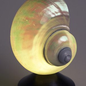 Декоративная настольная лампа Glowshell L