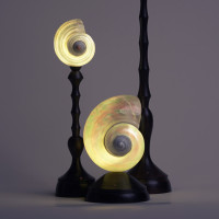 Декоративная настольная лампа Glowshell S