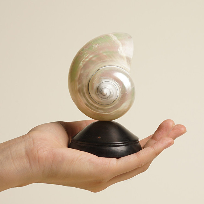 Декоративная настольная лампа Glowshell Mini