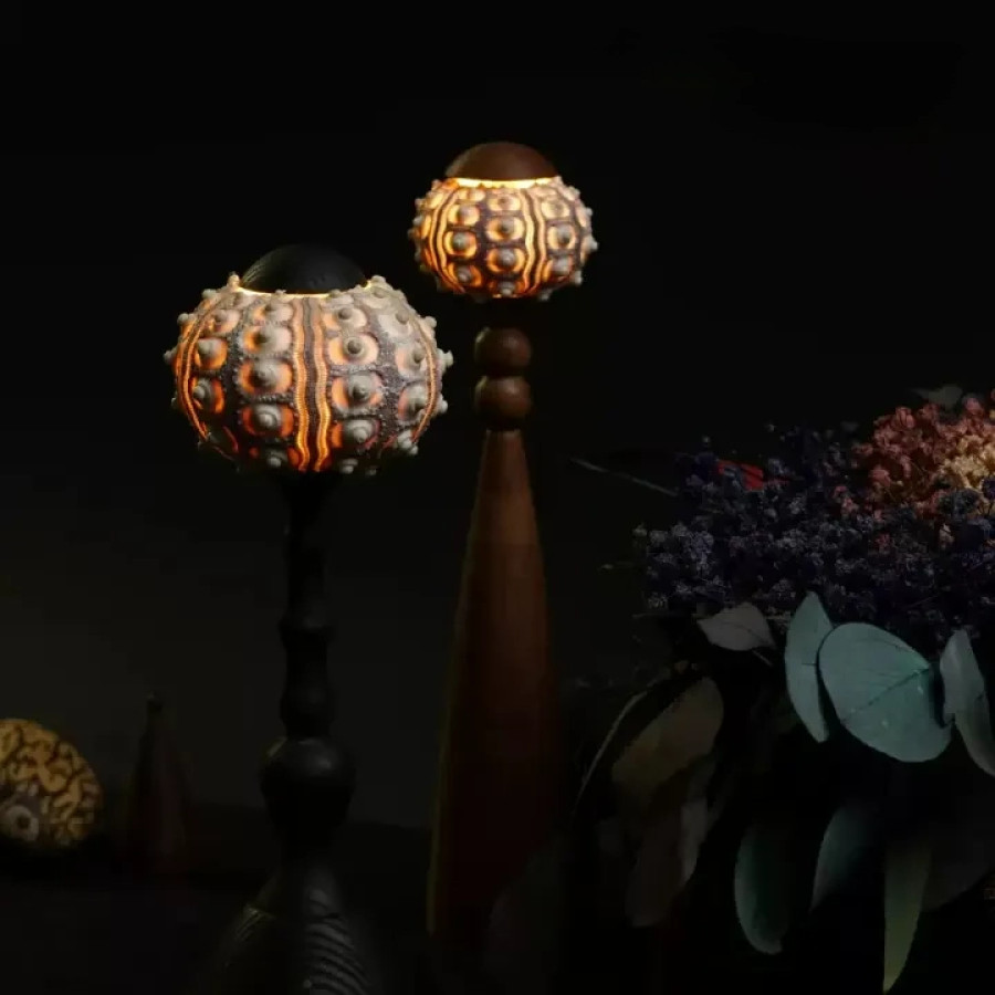 Декоративная настольная лампа Sea Urchin A