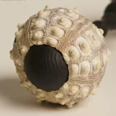 Декоративная настольная лампа Sea Urchin B