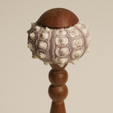 Декоративная настольная лампа Sea Urchin A