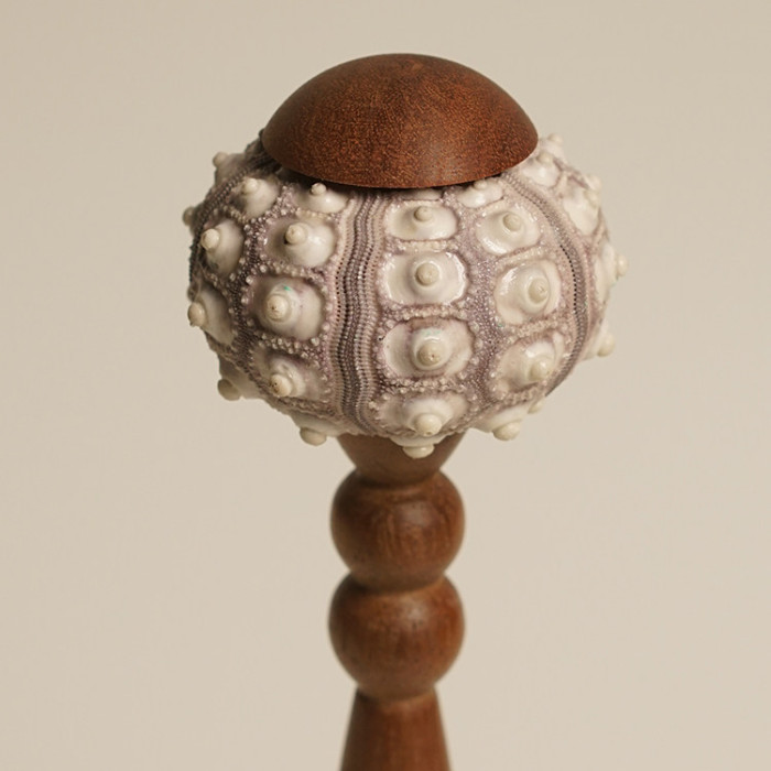 Декоративная настольная лампа Sea Urchin A