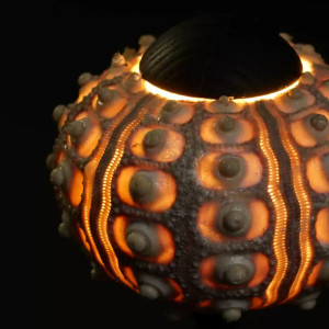 Декоративная настольная лампа Sea Urchin A