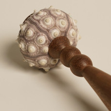 Декоративная настольная лампа Sea Urchin A