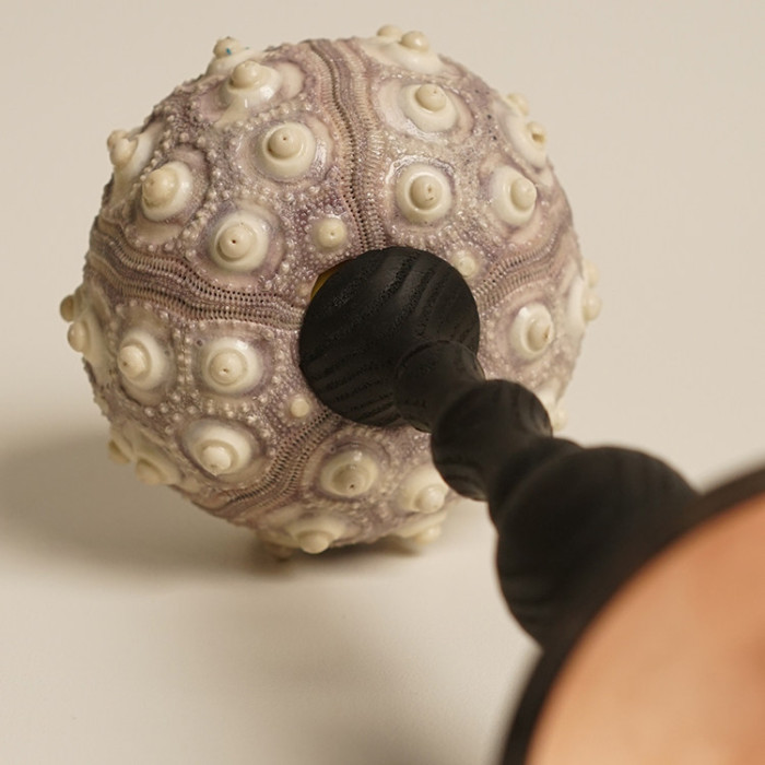 Декоративная настольная лампа Sea Urchin B