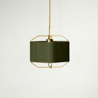 Подвесной светильник Ziilamp Skin Green