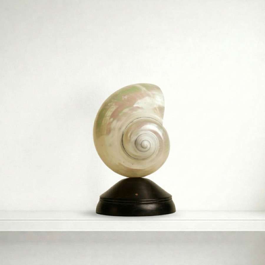 Декоративная настольная лампа Glowshell Mini