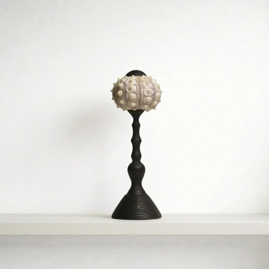 Декоративная настольная лампа Sea Urchin B